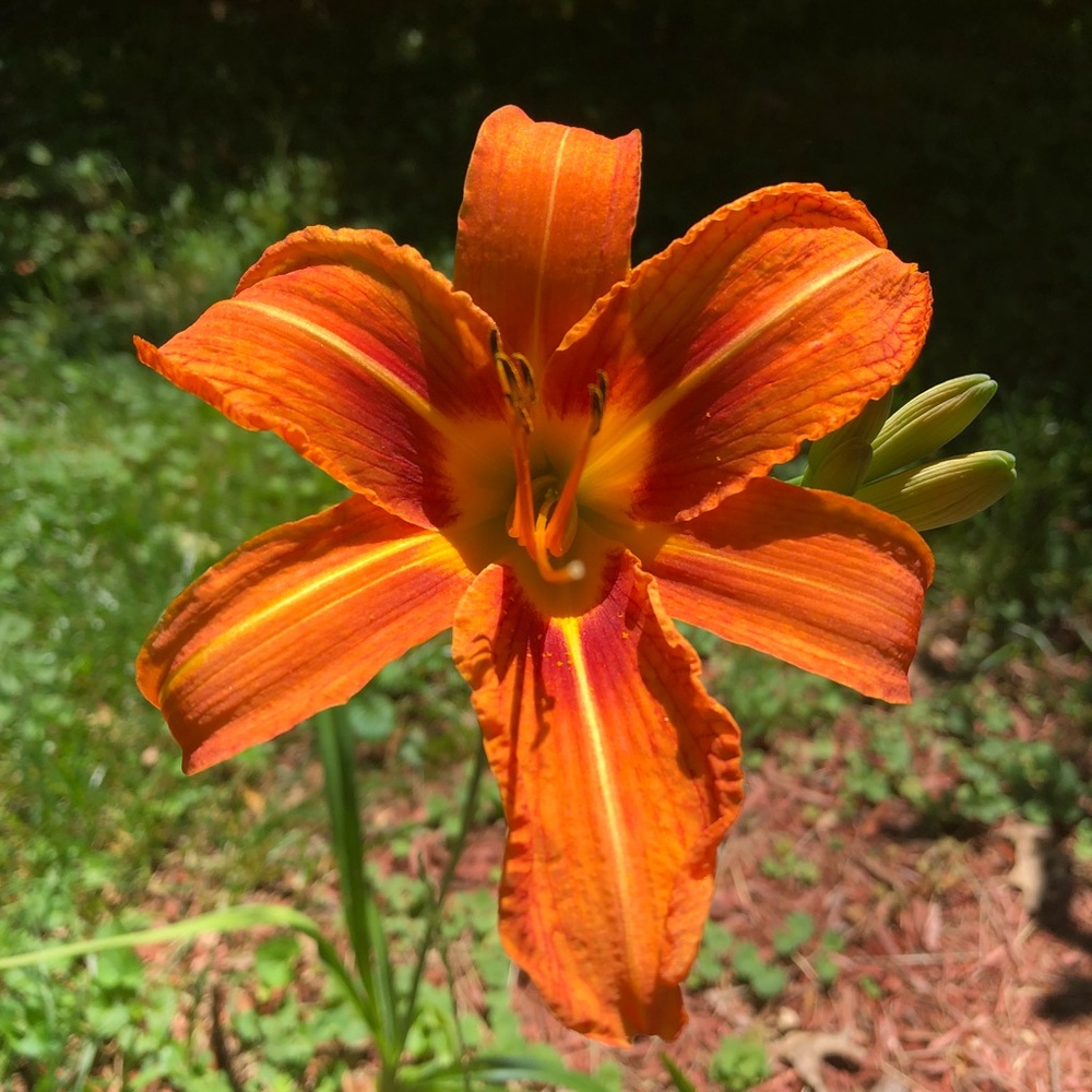 Meet your Posher, Parinita